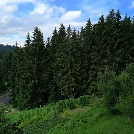 Marichka Pensión 3*