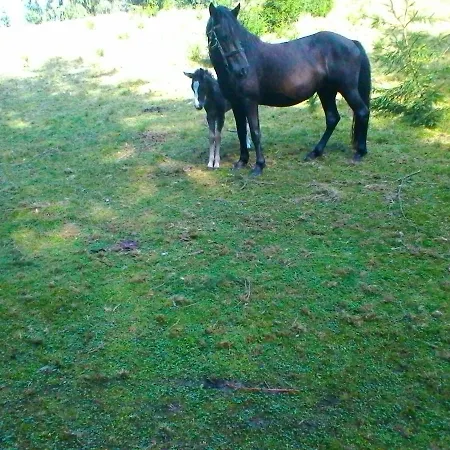 Marichka Yablunytsya