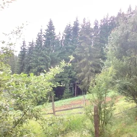 Guest house Marichka